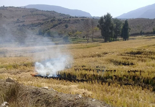 اخطاریه جلوگیری از آتش زدن کاه و کلش مزارع  برداشت شده #پیته نو توسط کارشناسان مرکز جهاد کشاورزی #دهستان_شهدا.