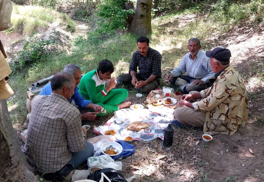 فعالیت درمزرعه شالیزاری و صبحانه هر روز در جوار مرد بزرگ آقای وهابزاده از روستای پارسا