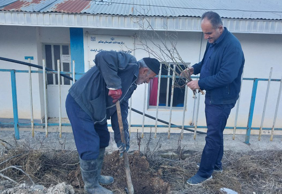 کاشت نهال گل محمدی در پیاده رو های خیابان‌های روستای ارضت